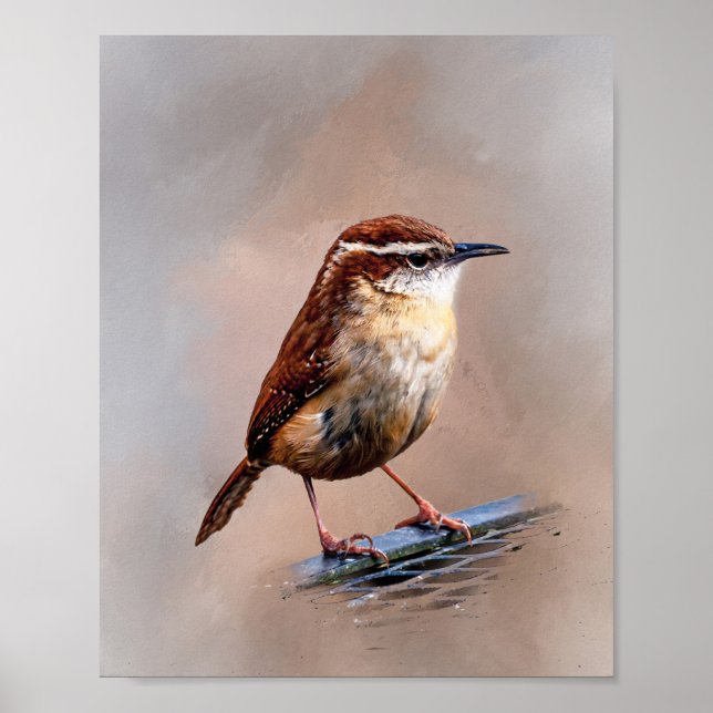 Poster Carolina Wren (Frente)