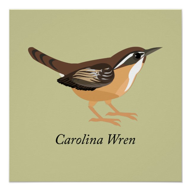 Póster Carolina Wren (Frente)