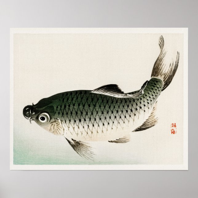 Poster Carpa de Kōno Bairei (1844-1895) (Frente)