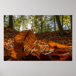 Poster Carpe Diem - Folhas coloridas brilhantes floresta