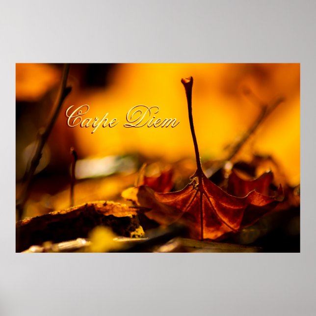 Poster Carpe Diem Personalizável com folha colorida (Frente)