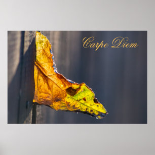 Poster Carpe Diem personalizável com folha colorida Post