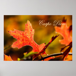 Poster Carpe Diem personalizável com folha colorida Poste