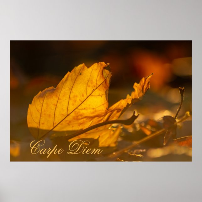 Poster Carpe Diem personalizável com folha colorida Poste (Frente)