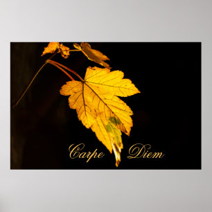 Poster Carpe Diem personalizável com folha colorida Poste