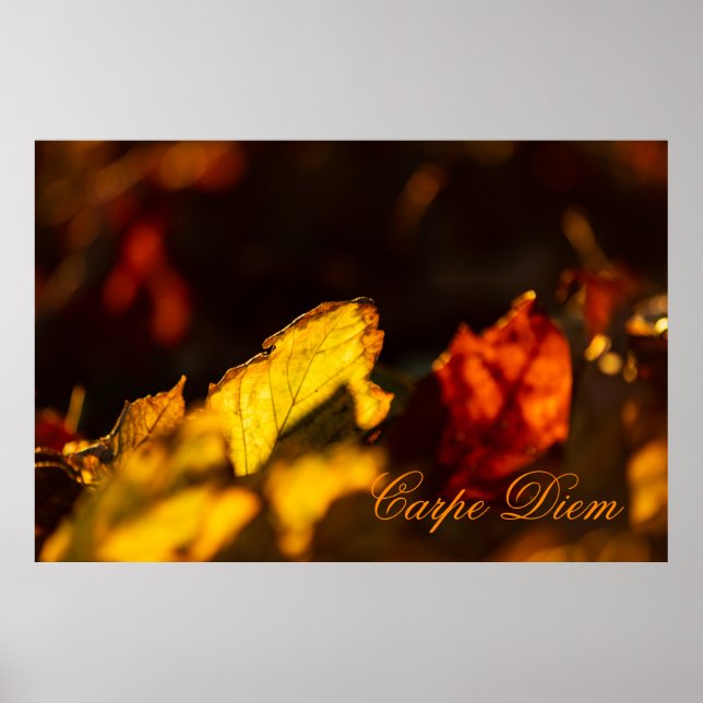 Poster Carpe Diem personalizável com folha colorida Poste (Frente)
