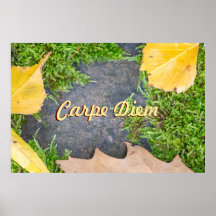 Carpe Diem personalizável com folhas coloridas