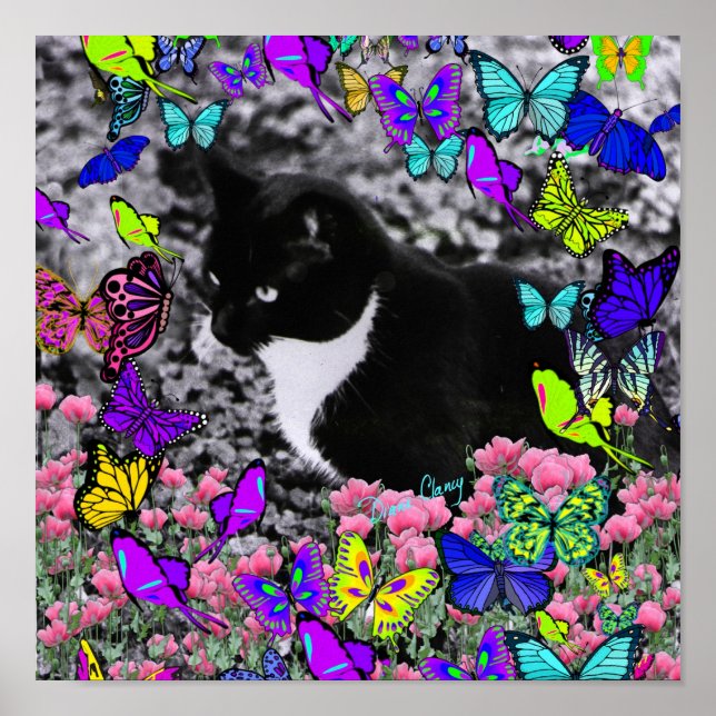 Poster Carrapatos em Borboletas II - Gato Tuxedo (Frente)