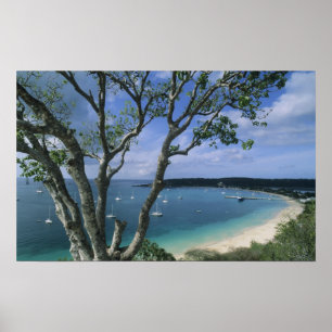 Póster Carribean, Ilha de Anguilla, Road Bay Harbor.