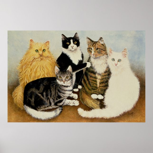 Póster Carrinho de Gato (Frente)