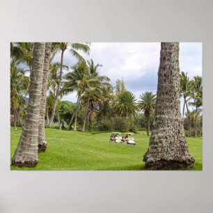 Poster Carrinhos de Golfe na Baía de Poipu, Kauai, Havaí