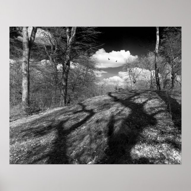 Póster Carrion. (Frente)