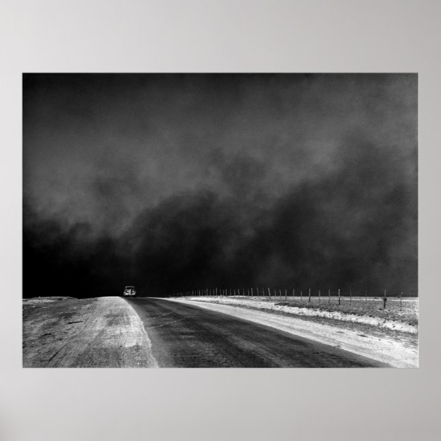 Poster Carro dirigindo o pavão do Texas na tigela de poei (Frente)