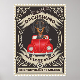 Poster Carro vintage De Condução De Dachshund Cute