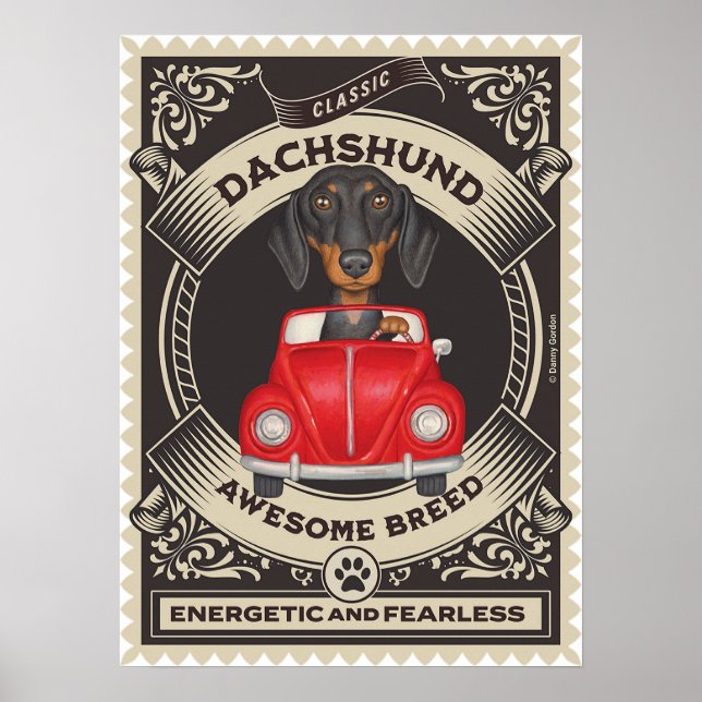 Poster Carro vintage De Condução De Dachshund Cute (Frente)