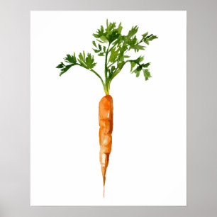 Poster Carrot Orgânico de Aquarela