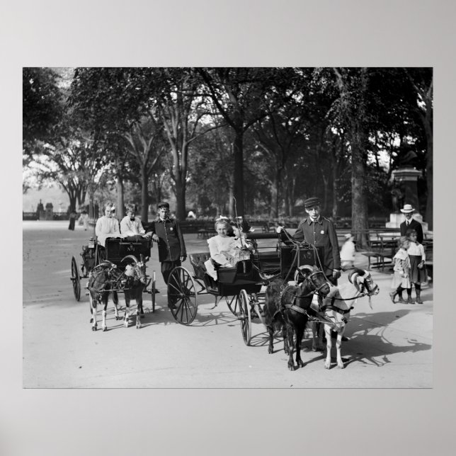 Póster Carruagem de Caprinos, início dos anos 1900 (Frente)