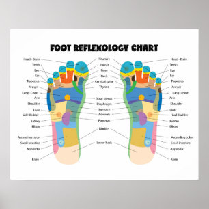 Poster Carta 20" do Reflexology do pé x 16", (resíduo
