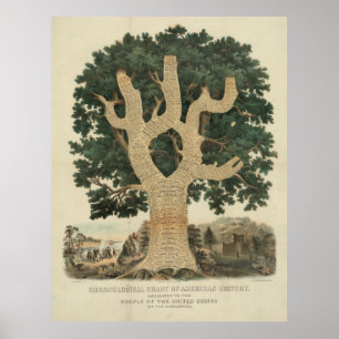 Poster Carta cronológica da história americana [1881]