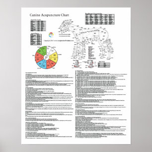 Póster Carta da acupunctura do Acupressure do cão