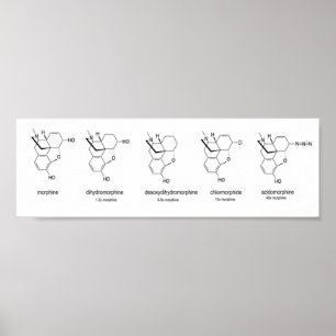 Poster Carta da morfina