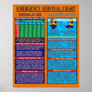 Póster Carta da sobrevivência da emergência