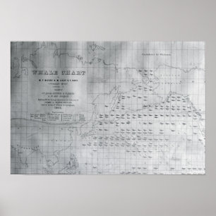 Póster Carta do North Pacific, 1851 da baleia