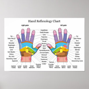 Poster Carta do Reflexology da mão