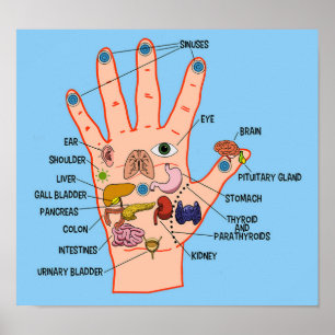 Poster Carta do Reflexology da mão