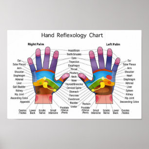 Poster Carta do Reflexology da mão