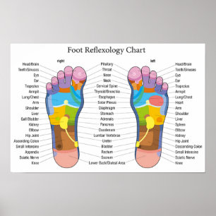 Poster Carta do Reflexology do pé