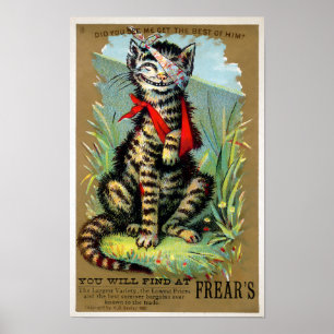 Poster Cartão Comercial de Frears Cat. 6 (de 6)