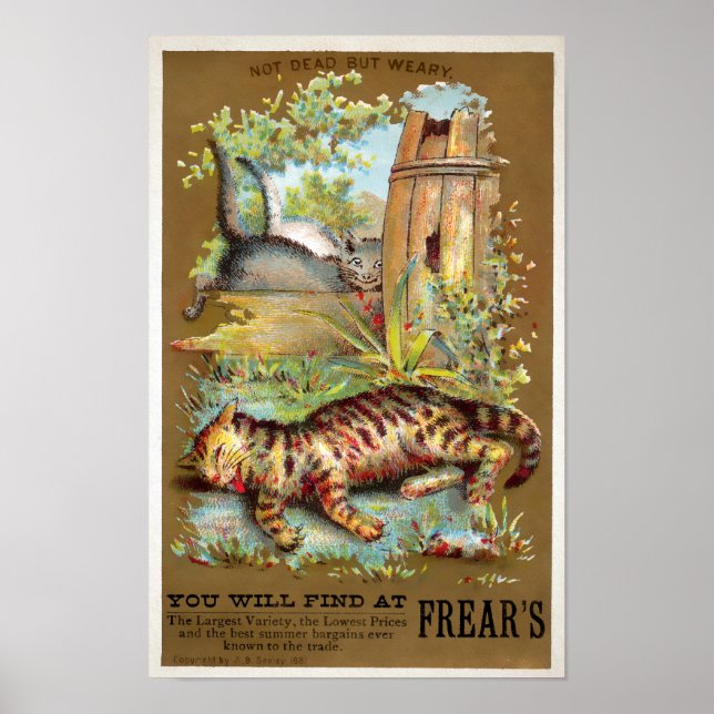 Poster Cartão Comercial Frears Cat. 5 (de 6) (Frente)