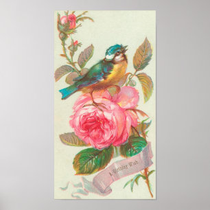 Póster Cartão De Aniversário Vintage Com Aves E Rosas