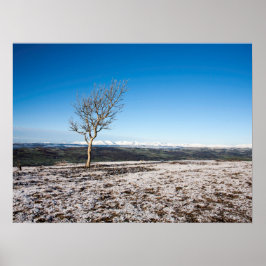 Poster Cartão de Feriado da Cicatriz de Escoteiro