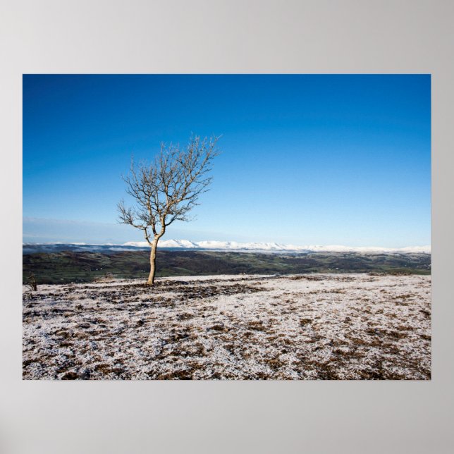 Poster Cartão de Feriado da Cicatriz de Escoteiro (Frente)