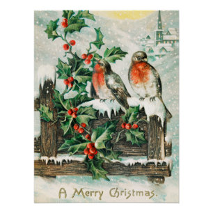 Póster Cartão de Natal Antigo com Pintarroxos, Azevinho e