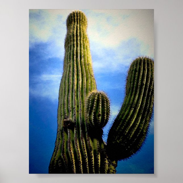Poster Cartão-postal Alto Saguaro Cactus (Frente)