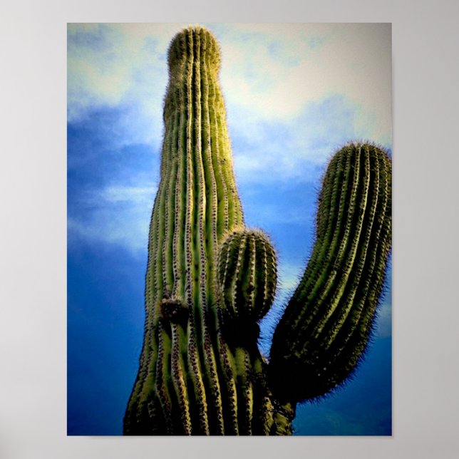 Poster Cartão-postal Alto Saguaro Cactus (Frente)