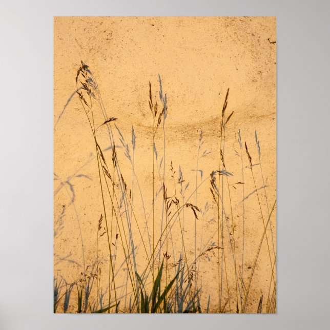 Poster Cartão-Postal De Graus E Sombras (Frente)