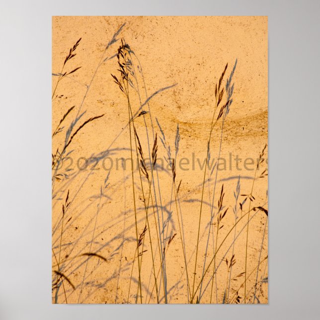 Poster Cartão-Postal De Graus E Sombras (Frente)