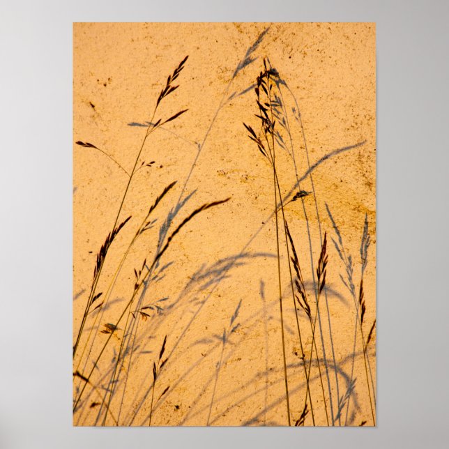 Poster Cartão-Postal De Graus E Sombras (Frente)