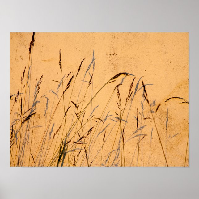 Poster Cartão-Postal De Graus E Sombras (Frente)