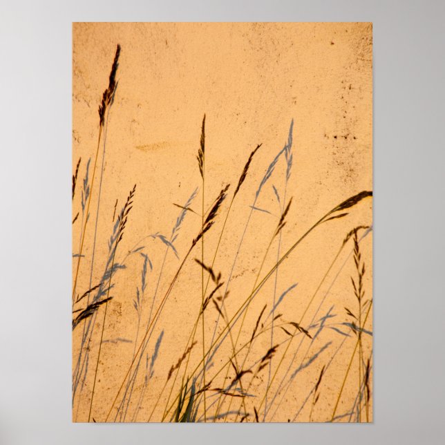 Poster Cartão-Postal De Graus E Sombras (Frente)