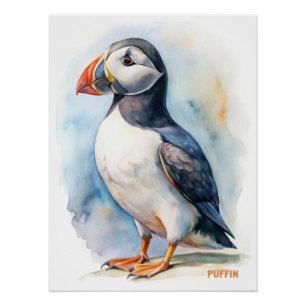 Póster Cartão-postal de pintura aquosa de pássaro Puffin