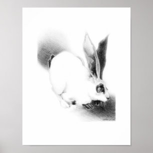 Poster Cartão selvagem da lebre