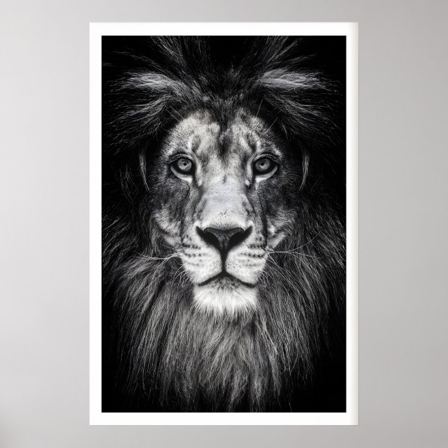 Poster Cartaz (Frente)