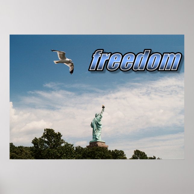 Poster Cartaz (Frente)
