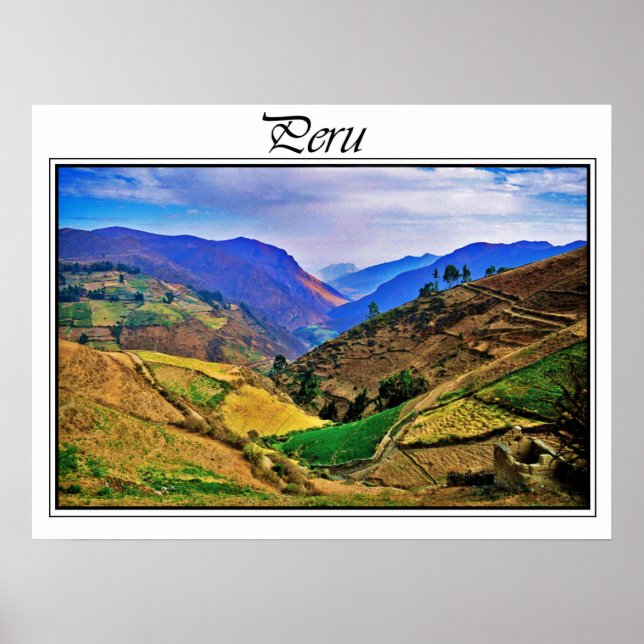Poster Cartaz (Frente)