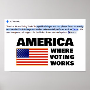 Poster Cartaz América, Onde o Voto Funciona
